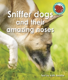 Sniffer dogs and their amazing noses