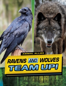 Ravens and Wolves Team Up!