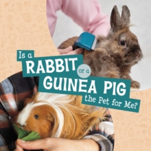 Is A Rabbit Or A Guinea Pig The Pet For Me?