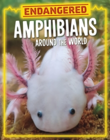 Endangered Amphibians Around the World