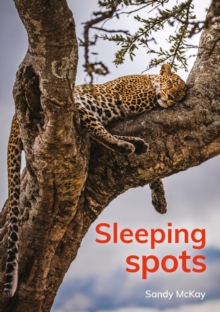 Sleeping spots