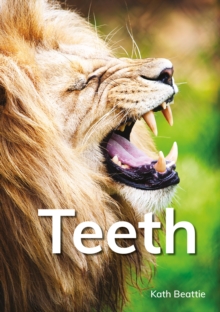 Teeth