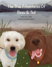 The True Adventures of Beau and Ted