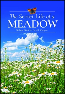 The Secret Life of a Meadow