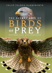 The Secret Life of Birds of Prey : Feathers, Fury and Friendship