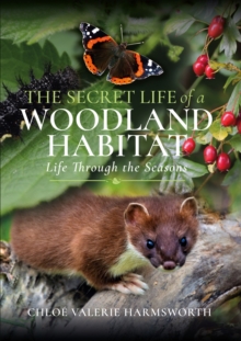 The Secret Life of a Woodland Habitat : Life Through the Seasons