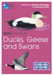 RSPB ID Spotlight - Ducks, Geese and Swans