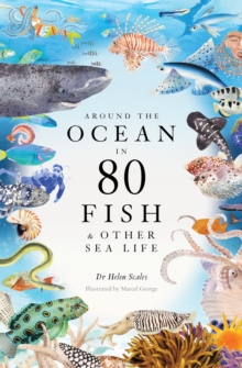 Around the Ocean in 80 Fish and other Sea Life