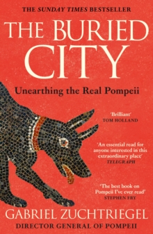 Hodder & Stoughton Buried City , Unearthing The Real Pompeii - The Instant Sunday Times Bestseller
