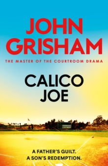 Calico Joe : The unforgettable family drama from the number 1 Sunday Times bestselling author