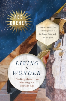 Living in Wonder : Finding Mystery and Meaning in a Secular Age