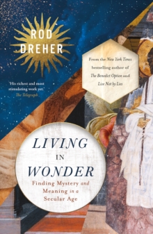 Living in Wonder : Finding Mystery and Meaning in a Secular Age