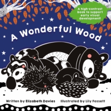 A Wonderful Wood: A Black-and-White High-Contrast Storybook for Newborns and Children aged 0-5