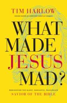 WHAT MADE JESUS MAD PB, Paperback Book WHAT MADE JESUS MAD PB, Paperback Book