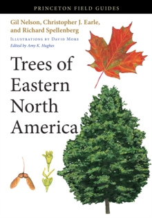 Trees of Eastern North America