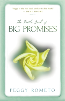 Little Book of Big Promises