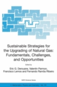 Sustainable Strategies for the Upgrading of Natural Gas: Fundamentals, Challenges, and Opportunities : Proceedings of the NATO Advanced Study Institute, held in Vilamoura, Portugal, July 6 - 18, 2003