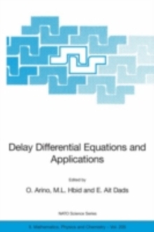 Delay Differential Equations and Applications : Proceedings of the NATO Advanced Study Institute held in Marrakech, Morocco, 9-21 September 2002