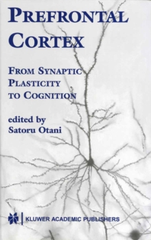 Prefrontal Cortex : From Synaptic Plasticity to Cognition