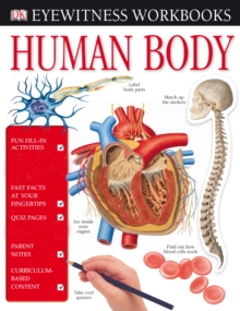 Human Body