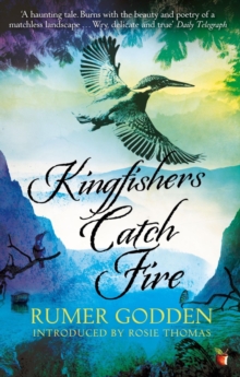 Kingfishers Catch Fire : A Virago Modern Classic