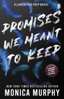 Promises We Meant To Keep : The emotionally gripping and swoon-worthy TikTok sensation