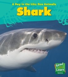 Shark, Hardback Book Shark, Hardback Book
