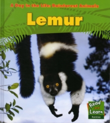 Lemur, Hardback Book Lemur, Hardback Book