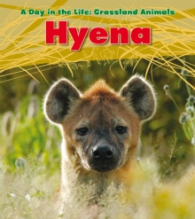 Hyena, Hardback Book Hyena, Hardback Book