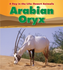 Arabian Oryx, Hardback Book Arabian Oryx, Hardback Book