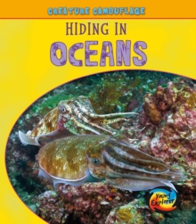 Hiding in Oceans, Paperback Book Hiding in Oceans, Paperback Book