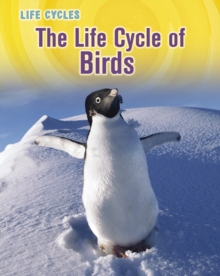 The Life Cycle of Birds, Hardback Book The Life Cycle of Birds, Hardback Book