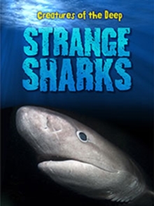 Strange Sharks, Paperback Book Strange Sharks, Paperback Book