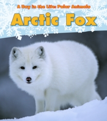 Arctic Fox, Hardback Book Arctic Fox, Hardback Book