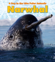 Narwhal, Paperback Book Narwhal, Paperback Book