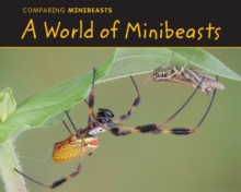 A World of Minibeasts, Hardback Book A World of Minibeasts, Hardback Book