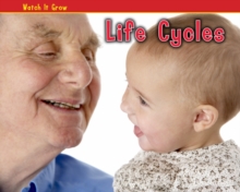 Life Cycles, Hardback Book Life Cycles, Hardback Book