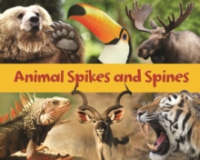 Animal Spikes and Spines, Paperback Book Animal Spikes and Spines, Paperback Book