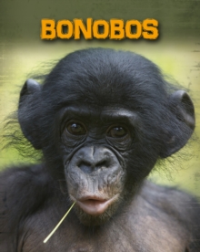 Bonobos, Paperback / softback Book Bonobos, Paperback / softback Book