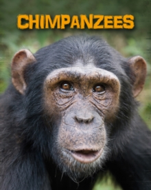 Chimpanzees, Paperback Book Chimpanzees, Paperback Book