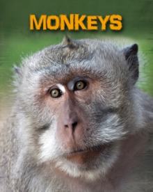 Monkeys, Paperback Book Monkeys, Paperback Book