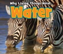 Water, Paperback Book Water, Paperback Book
