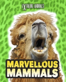Marvellous Mammals, Paperback Book Marvellous Mammals, Paperback Book