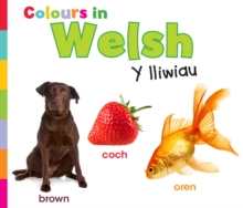 Colours in Welsh : Y lliwiau, Paperback / softback Book Colours in Welsh : Y lliwiau, Paperback / softback Book