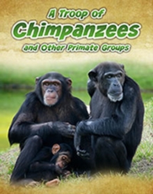 A Troop of Chimpanzees : and Other Primate Groups, Paperback / softback Book A Troop of Chimpanzees : and Other Primate Groups, Paperback / softback Book