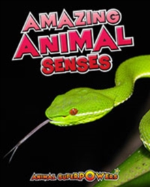 Amazing Animal Senses, Paperback / softback Book Amazing Animal Senses, Paperback / softback Book