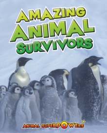 Amazing Animal Survivors, Paperback / softback Book Amazing Animal Survivors, Paperback / softback Book
