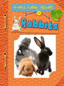 Rabbits, Hardback Book Rabbits, Hardback Book