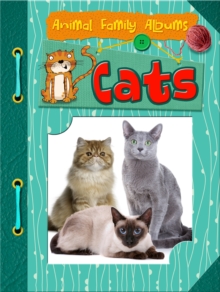 Cats, Paperback / softback Book Cats, Paperback / softback Book
