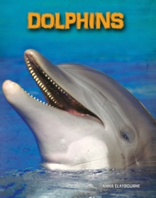 Dolphins, Hardback Book Dolphins, Hardback Book